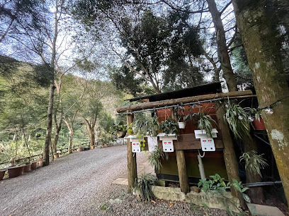 熊老大露营区