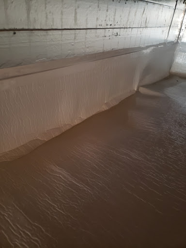 Foundation «Foundation Systems of Michigan», reviews and photos