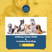 Main Line Dog Sitters