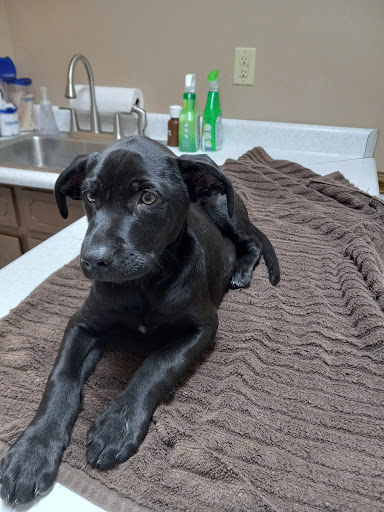 Dr. Allen Roberts image