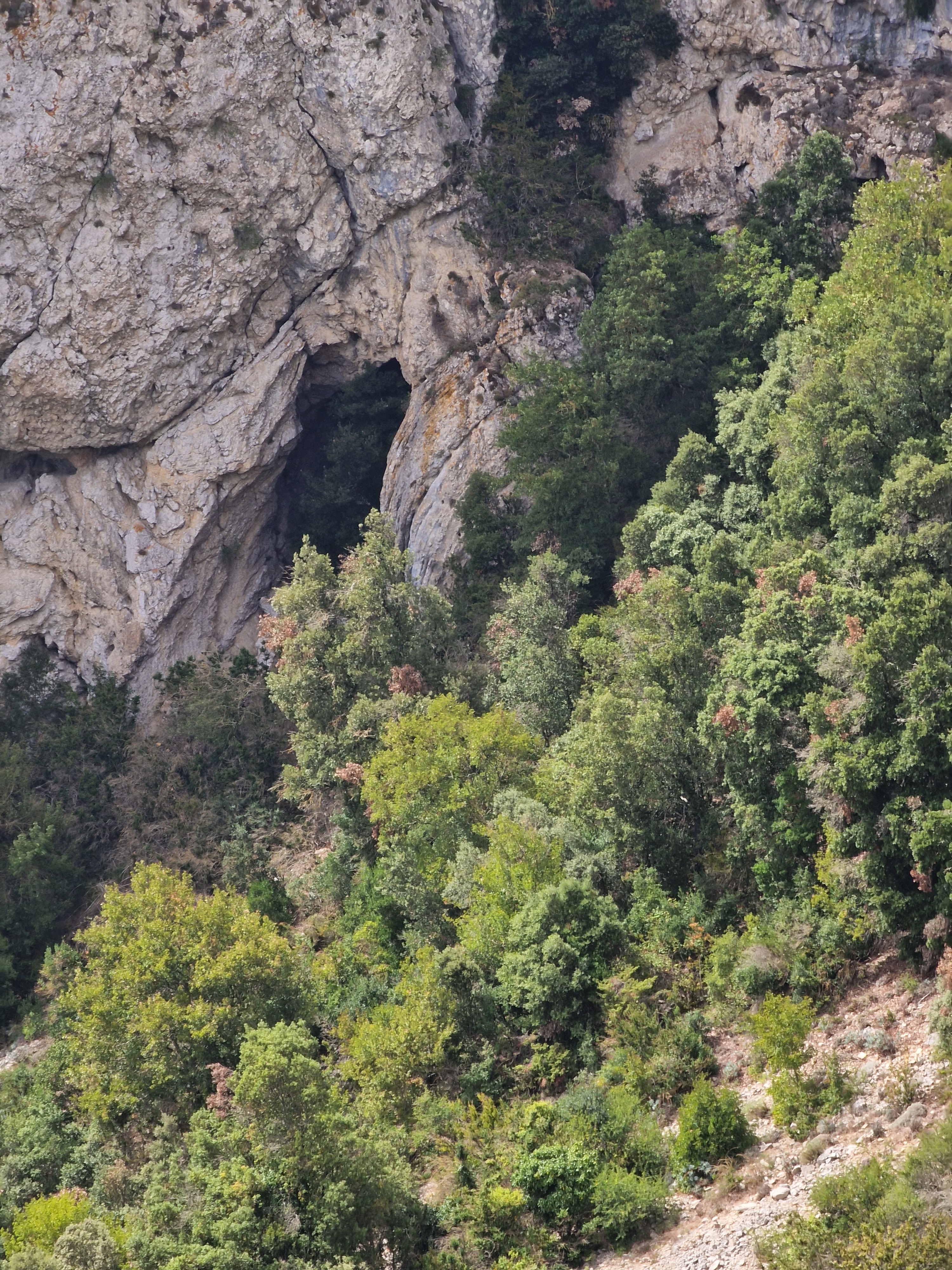 Photo n° 9 de l'avis de sebastien.u fait le 06/09/2023 à 16:28