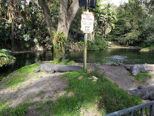 Tourist Attraction «Stanleyville Theater», reviews and photos, 10165 N Malcolm McKinley Dr, Tampa, FL 33612, USA