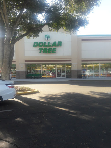 Dollar Store «Dollar Tree», reviews and photos, 16930 US-441 c, Mt Dora, FL 32757, USA