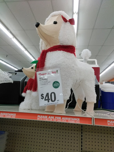 Discount Store «Big Lots», reviews and photos, 2932 Canton Rd #210, Marietta, GA 30066, USA