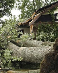 BELFOR Property Restoration - Photo 4 - Car repair in Waco, TX, Waco