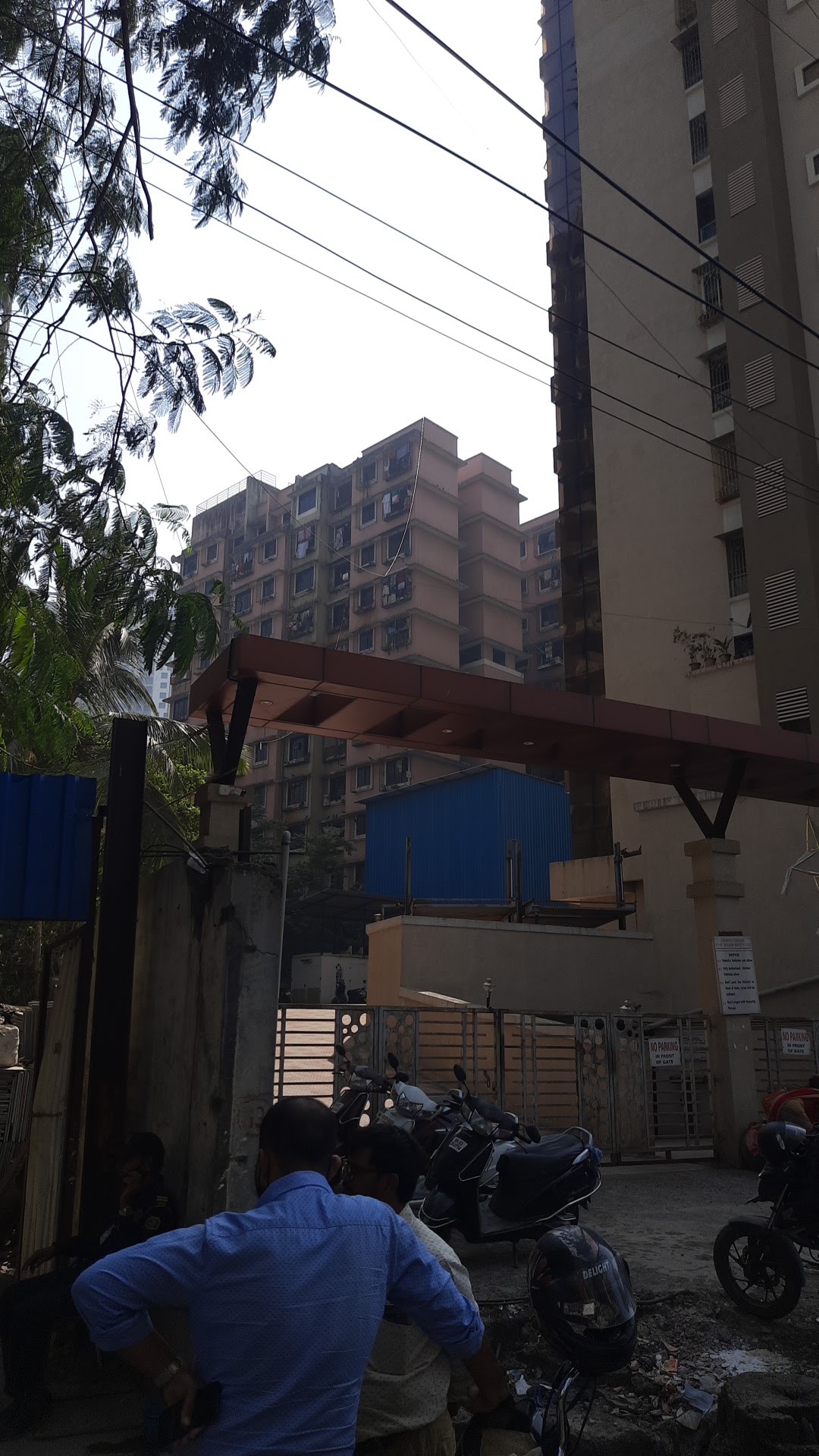 Sachdev Complex