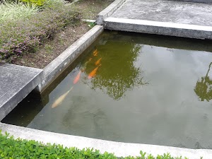 Parque kennedy - photo 1