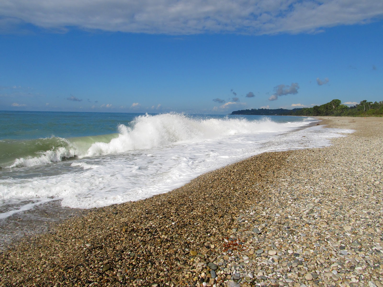 Fotografie cu Leon beach amplasat într-o zonă naturală