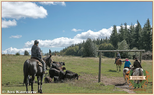 attractions Oosting-HorseRiding Lacrouzette