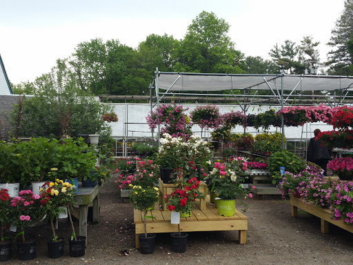 Florist «Gordon Florist & Greenhouses, Inc.», reviews and photos, 24 Essex Rd, Ipswich, MA 01938, USA