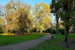 Stadtgarten Grünfläche image