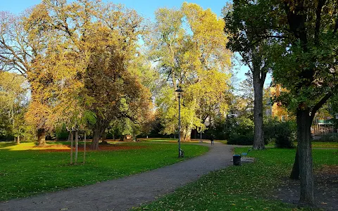 Stadtgarten Grünfläche image