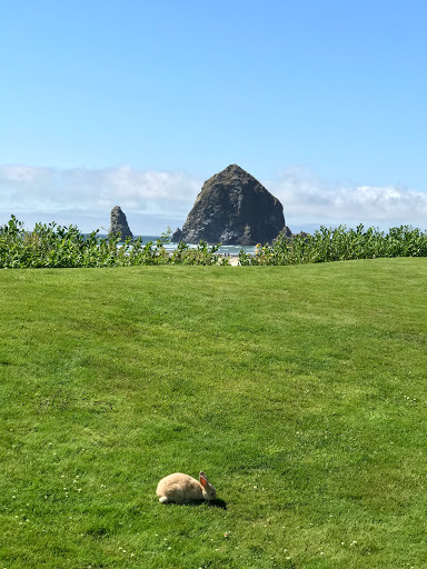 Tourist Attraction «Haystack Rock», reviews and photos, US-101, Cannon Beach, OR 97110, USA