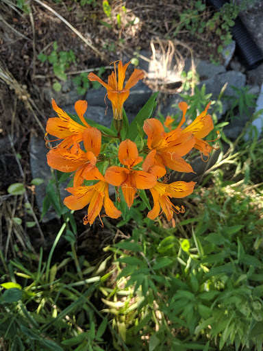 Park «Kirke Park», reviews and photos, 7028 9th Ave NW, Seattle, WA 98117, USA