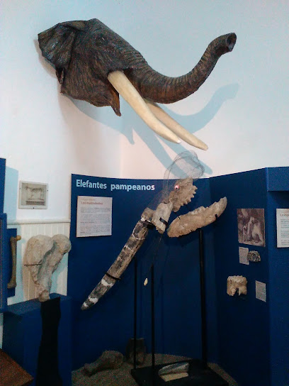 Museo de Ciencias Naturales 'P. Antonio Scasso'
