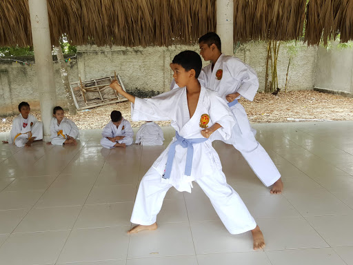 KENSEI ESCUELA DE KARATE ARJONA