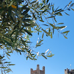 Photo n°6 de l'avis de Sabine.a fait le 15/06/2022 à 08:12 sur le  Hotel Internazionale à Torri del Benaco