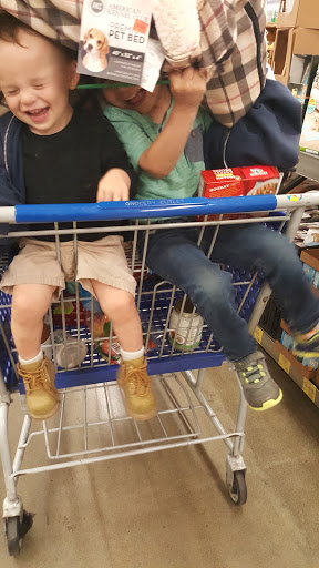 Grocery Store «Grocery Outlet Bargain Market», reviews and photos, 6425 6th Ave, Tacoma, WA 98406, USA