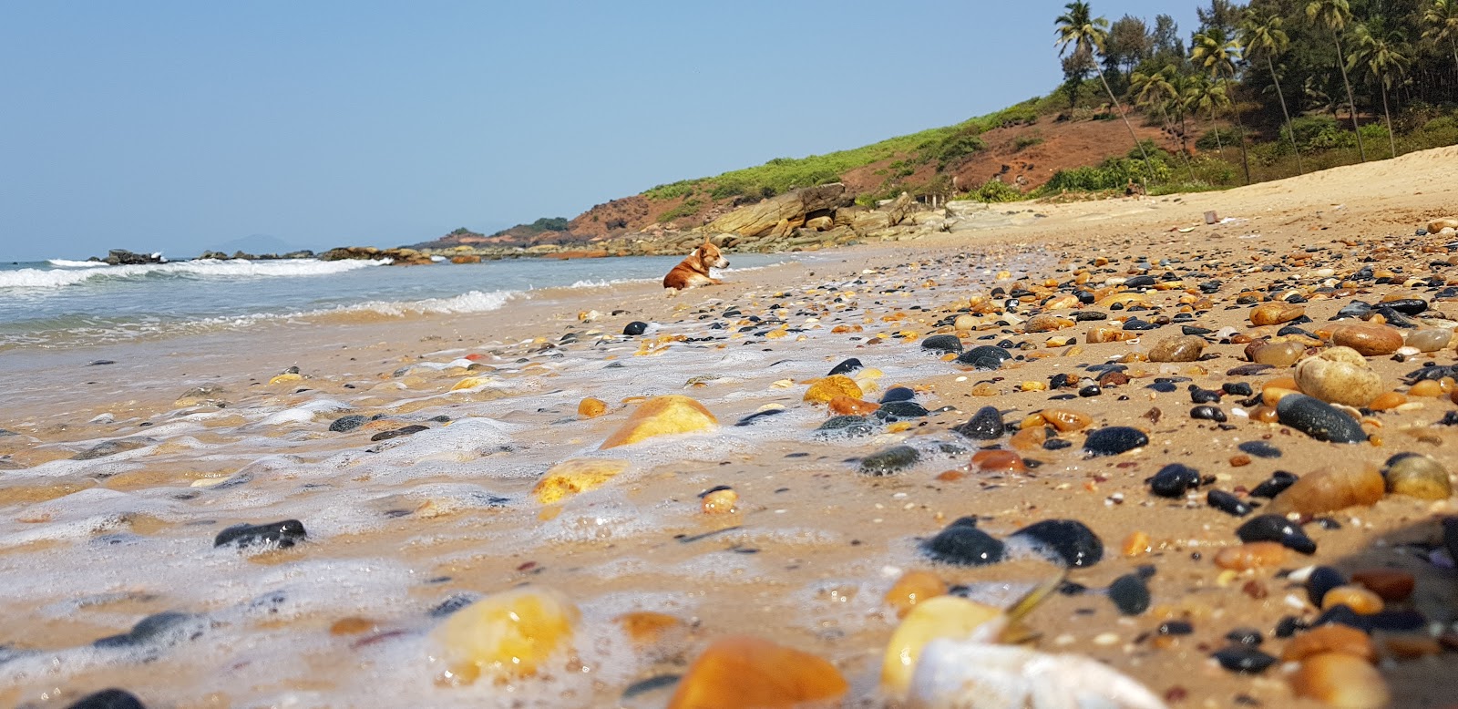 Zdjęcie Belambar Beach z poziomem czystości wysoki