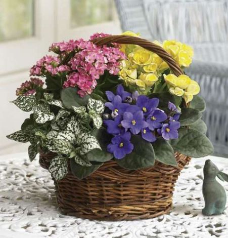 Florist «Kremp Florist», reviews and photos, 220 Davisville Rd, Willow Grove, PA 19090, USA