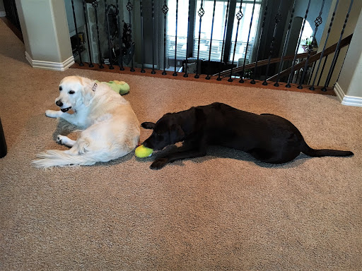 Pet Store «Earthwise Pet - Southlake», reviews and photos, 100 W Southlake Blvd #150, Southlake, TX 76092, USA