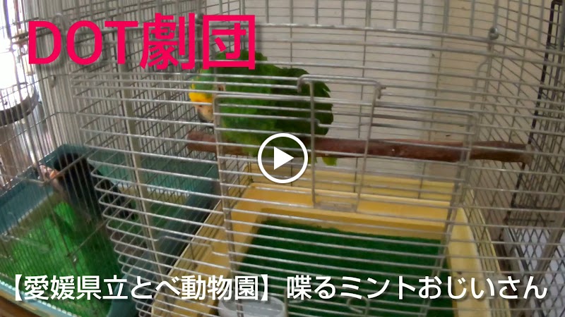 こども動物センター