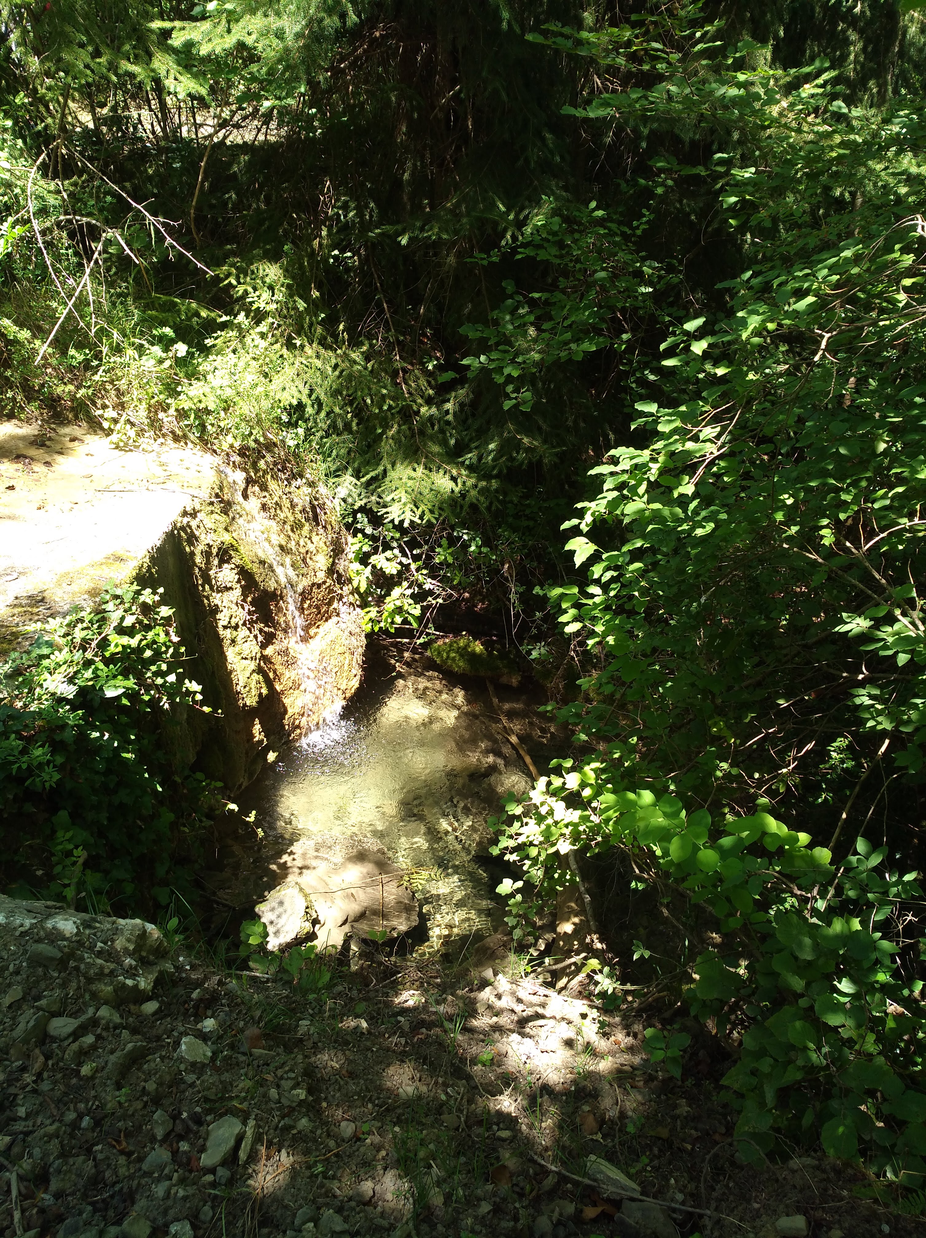 Photo n° 26 de l'avis de Nadine.o fait le 17/07/2018 à 15:02