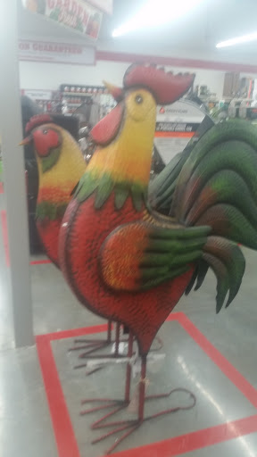 Home Improvement Store «Tractor Supply Co», reviews and photos, 600 S Oklahoma Dr, Celina, TX 75009, USA