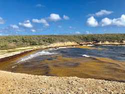 Foto von Puerto Ferros beach wilde gegend