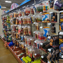 Petco - Photo 5 - Car repair in Vancouver, WA, Portland