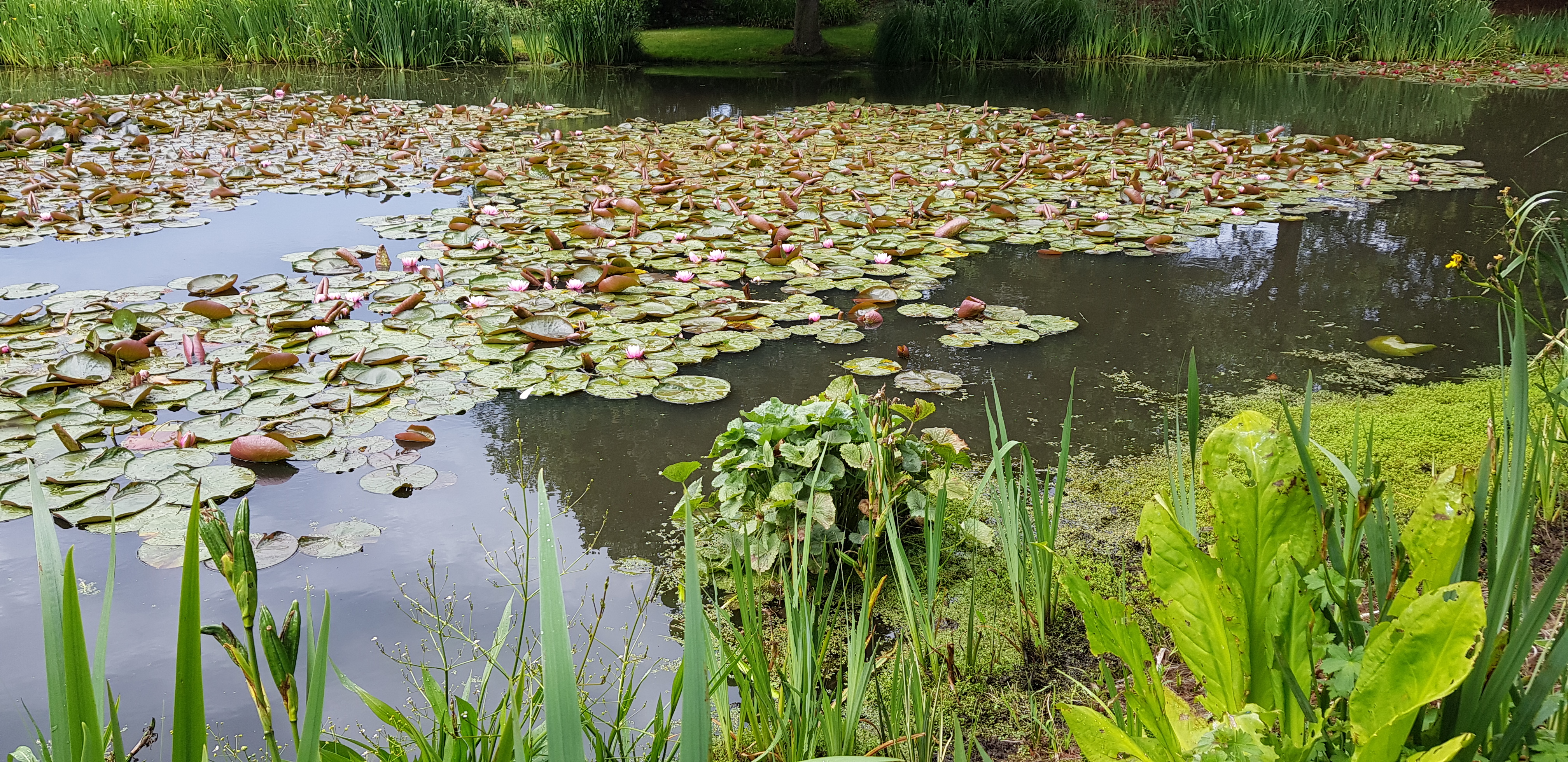 Photo n° 13 de l'avis de Ponsart.a fait le 23/06/2019 à 15:17