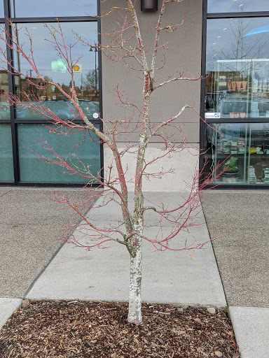 Gym «LA Fitness», reviews and photos, 7607 NE 5th Ave, Vancouver, WA 98665, USA