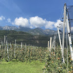 Photo n°2 de l'avis de Alisa.r fait le 03/09/2023 à 08:32 sur le  VILLA NAJ à Tramin an der Weinstraße