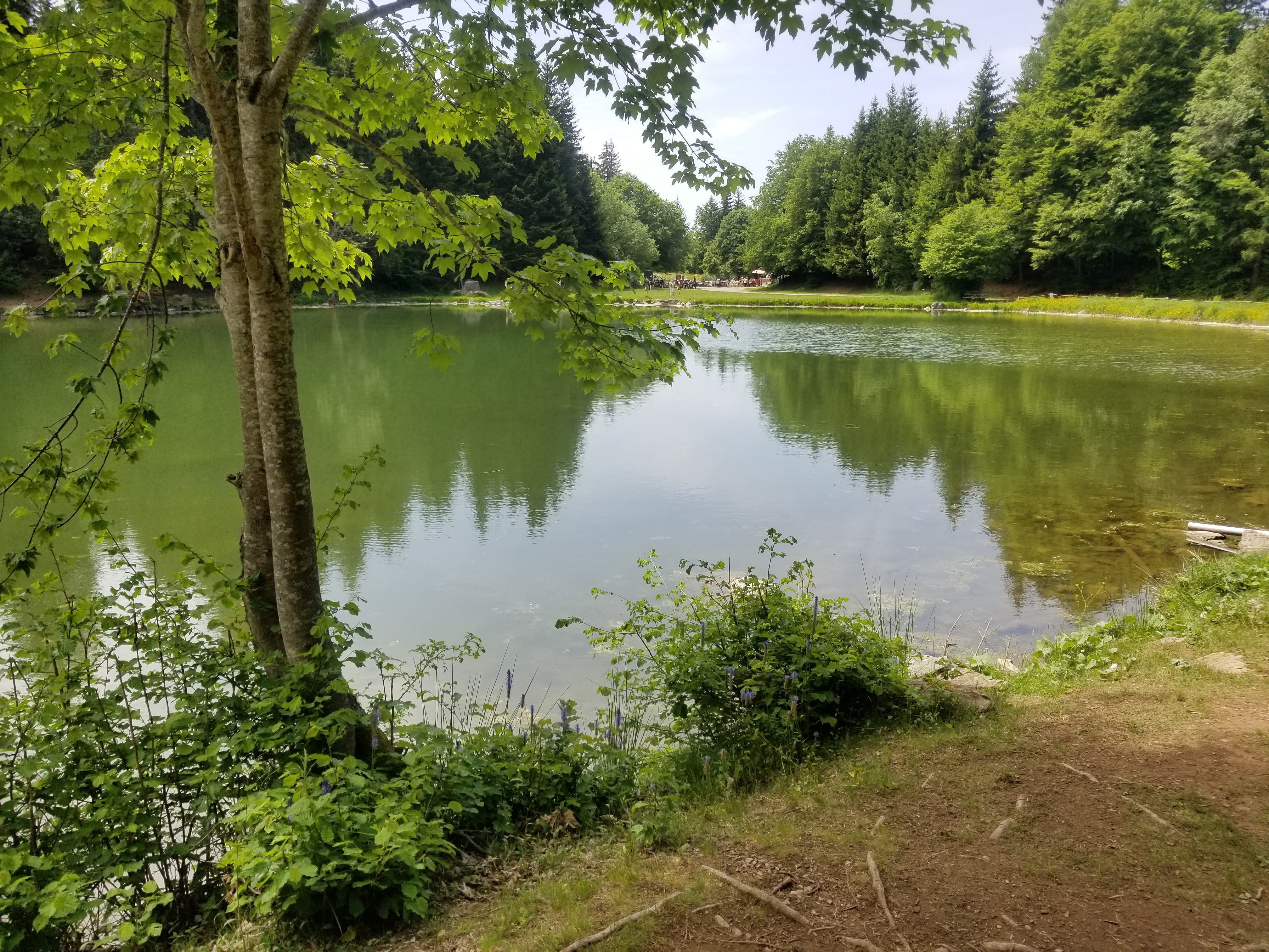 Photo n° 2 de l'avis de Joël.a fait le 29/05/2022 à 15:22