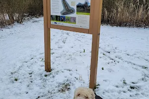 Hanwell Brook Wetland image