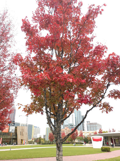 Aquarium «Georgia Aquarium», reviews and photos, 225 Baker St NW, Atlanta, GA 30313, USA