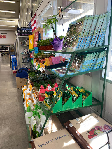 Grocery Store «Grocery Outlet Bargain Market», reviews and photos, 1391 E Yosemite Ave, Manteca, CA 95336, USA