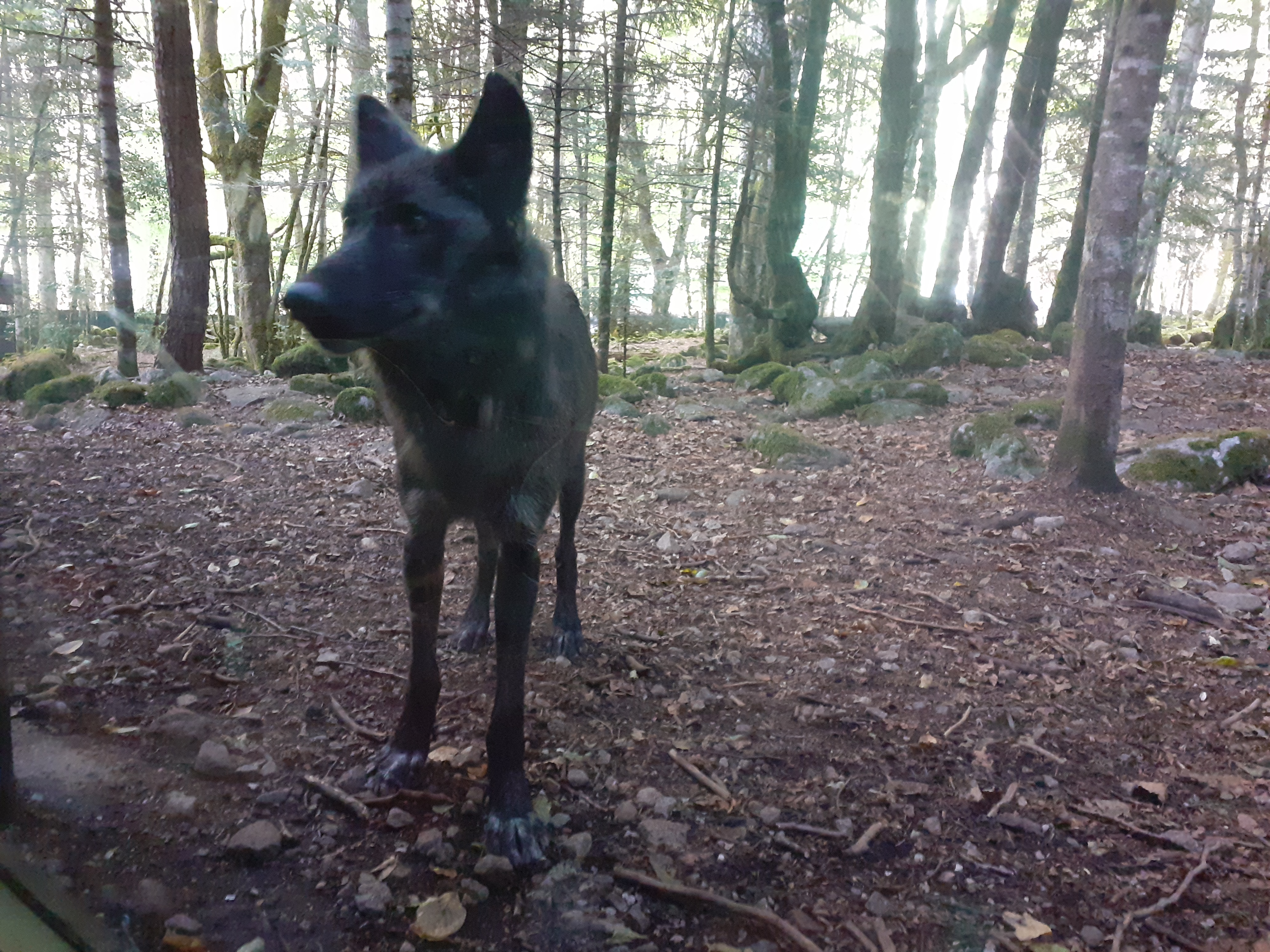 Photo n° 4 de l'avis de Virginie. fait le 06/09/2022 à 13:44