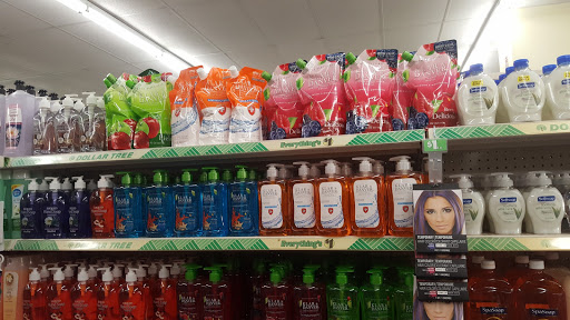 Dollar Store «Dollar Tree», reviews and photos, 135 West Rd, Ellington, CT 06029, USA