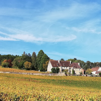 Domaine Joliet à Fixin