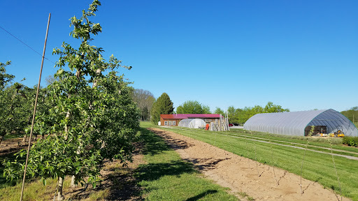 Farm «Manoff Market Gardens», reviews and photos, 3157 Comfort Rd, Solebury, PA 18963, USA