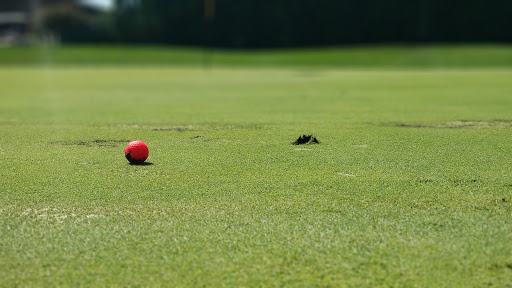 Golf Course «Robbinhurst Golf Club and Driving Range», reviews and photos, 383 W 875 N, Valparaiso, IN 46385, USA