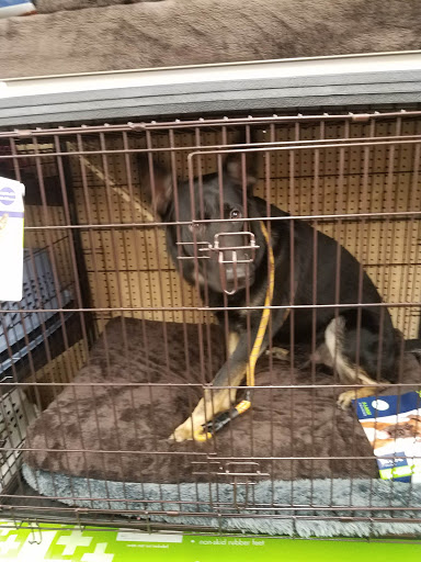 Pet Supply Store «Pet Supplies Plus», reviews and photos, 955 Co Rd E East #100, Vadnais Heights, MN 55127, USA