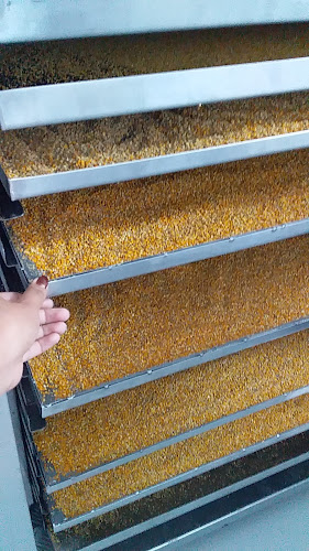 Miel de Abeja "POLIMIEL DEL VALLE"