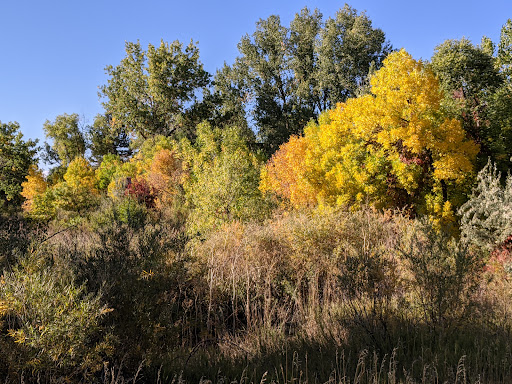 Park «Willow Creek Park», reviews and photos, 8000 E Phillips Cir, Centennial, CO 80112, USA