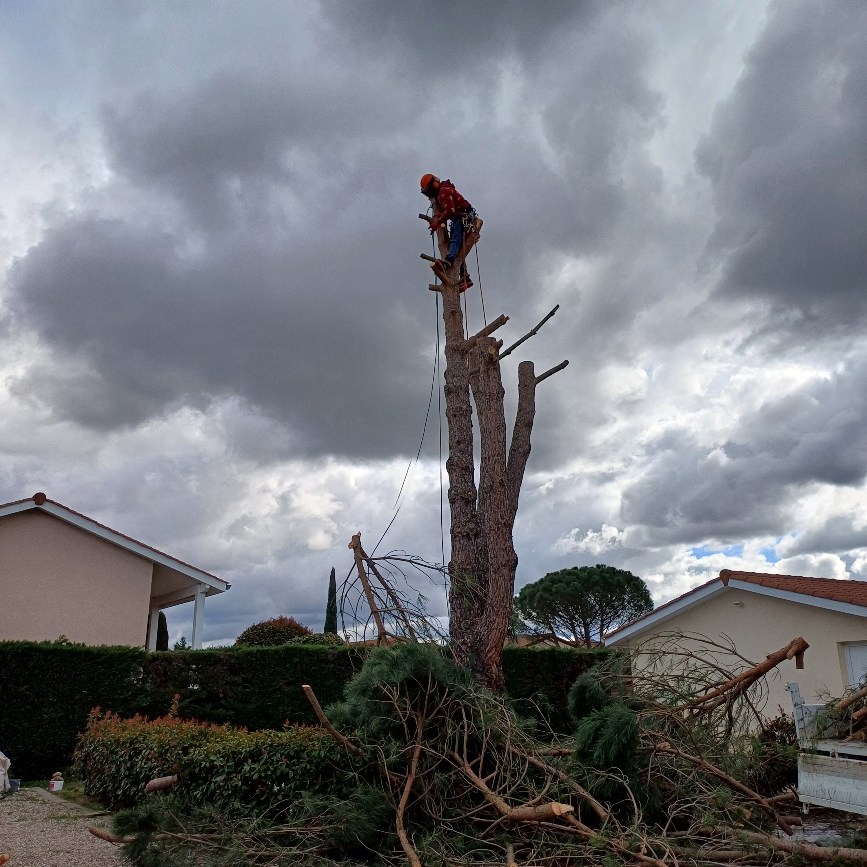 Photo n° 1 de l'avis de Stéphane.e fait le 20/02/2024 à 17:41