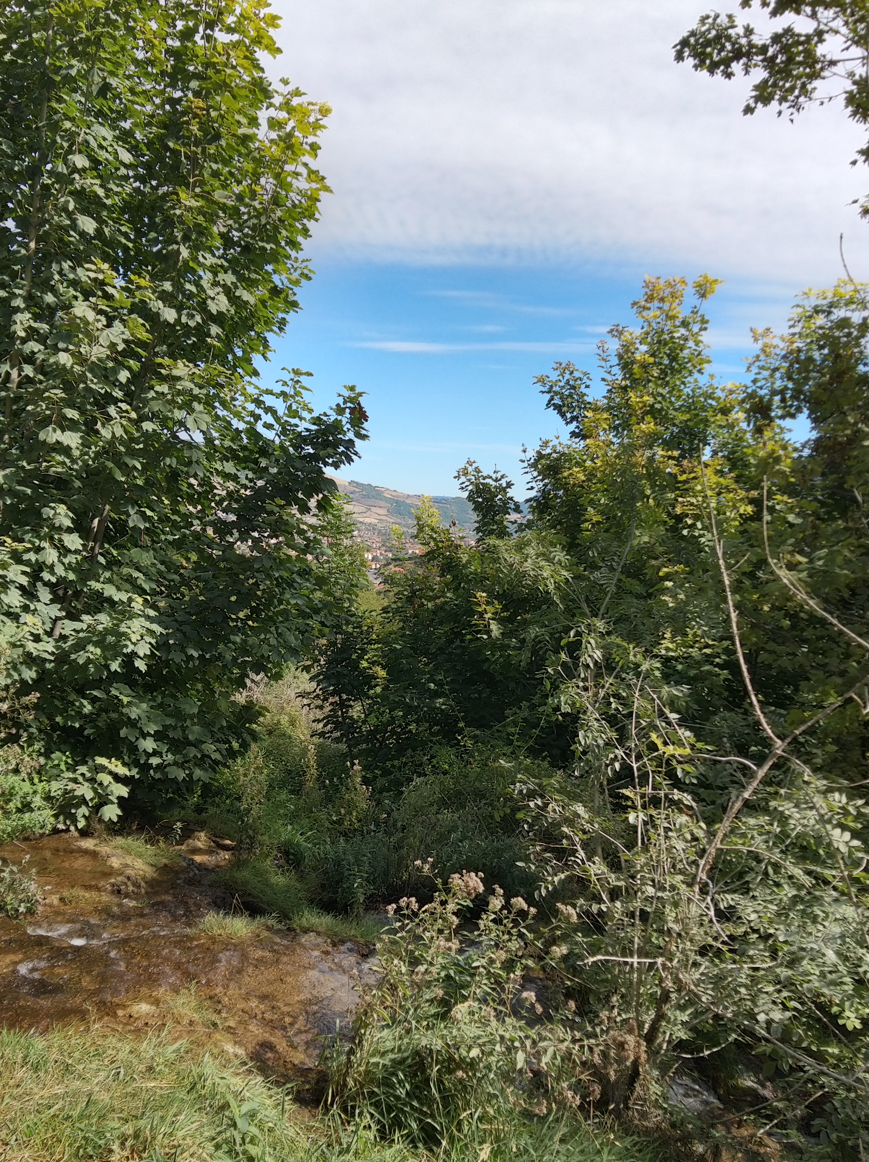 Photo n° 2 de l'avis de Thierry.o fait le 14/09/2020 à 15:27