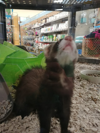 Pet Supply Store «Petco Animal Supplies», reviews and photos, 169 Brooklawn St, Farragut, TN 37934, USA