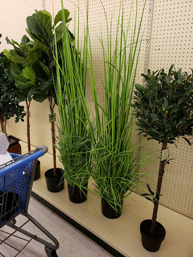 Craft Store «Hobby Lobby», reviews and photos, 150 E Oak St, Conway, AR 72032, USA