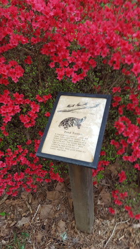 Nature Preserve «Blue Heron Nature Preserve», reviews and photos, 4055 Roswell Rd NE, Atlanta, GA 30342, USA